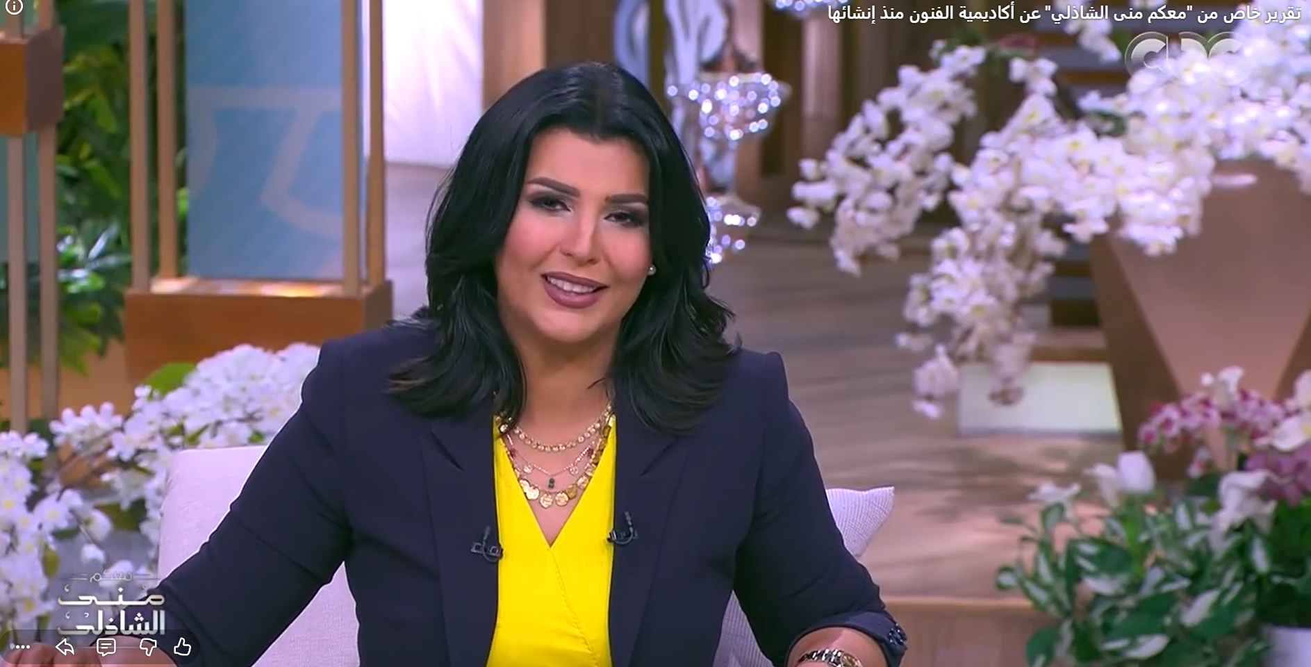 تقرير خاص من "معكم منى الشاذلي" عن أكاديمية الفنون منذ إنشائها